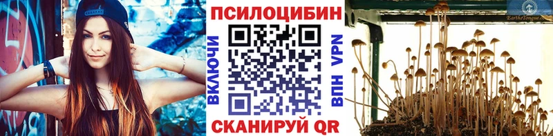 наркота  мега ссылки  Псилоцибиновые грибы прущие грибы  Сасово 